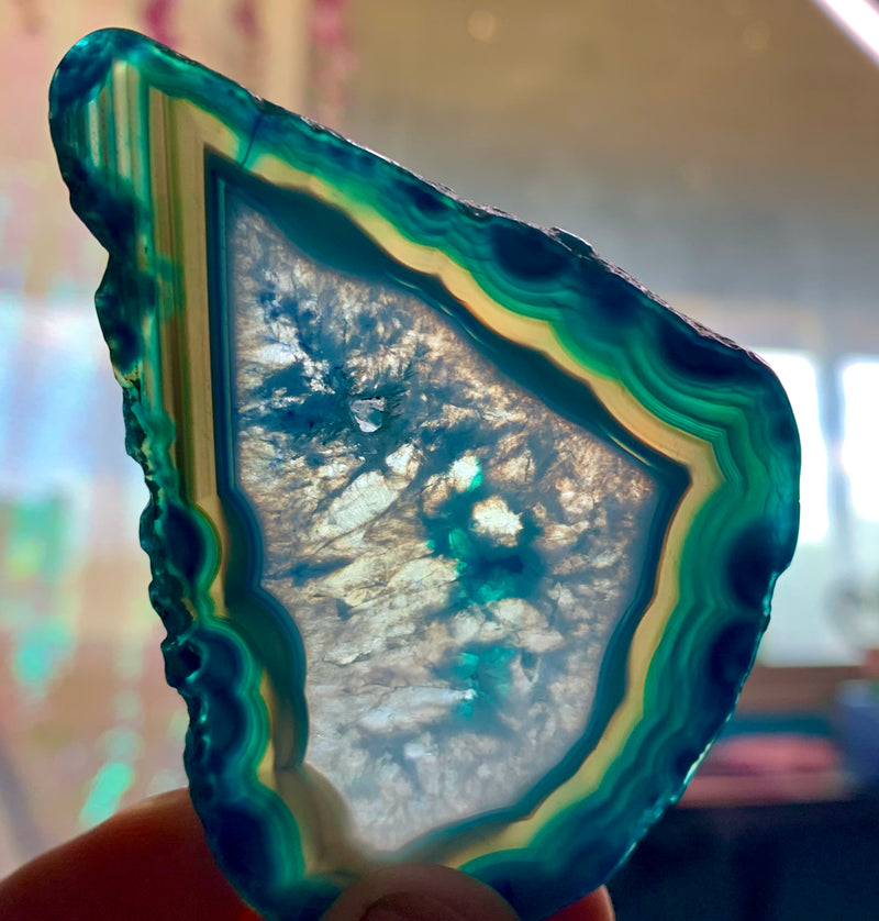 Slices Crystals/ Agate slices