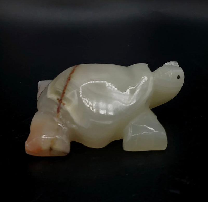 Onyx carved Turtle